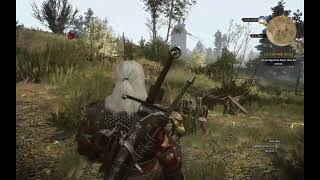 Location for Superior Vampire Oil  Witcher 3 Wild Hunt Next Gen [upl. by Brookhouse462]