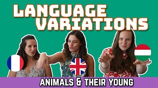 Language Variation  Animals amp Their Young  EN FR HU [upl. by Yrrot765]