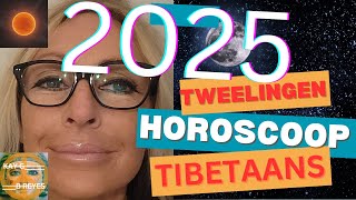 Tweelingen Horoscoop 2025 [upl. by Ahtanoj]