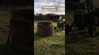 Pastures are emptied  cattle need hay farmcanada cattle cattlefarm hay haybales thanksgiving [upl. by Barney]