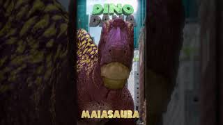 Dino Dana introducing the Maiasaura [upl. by Holmes]