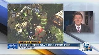 Firefighters treat dog after Greenacres house fire [upl. by Feldt]