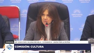 COMISIÓN EN VIVO CULTURA  23 de mayo de 2024  Diputados Argentina [upl. by Seko943]