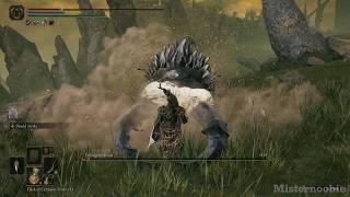 So Satisfying to break the posture of Fallingstar Beast  Elden Ring DLC [upl. by Akcirred744]