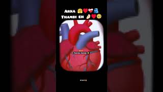 Akka thambi pasam WhatsApp status Full screen 🤗 Me and Akka Bond 🥰♥️ Beautifull BOND Ever Ns edits 🥰 [upl. by Yunfei]