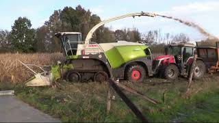 Maïs 2023  Claas Jaguar 960 Terra Trac  5x Massey Ferguson  4x Dezeure  muddy field  Verreth [upl. by Alpers662]