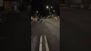 Course de moto et vélo électrique TAHITI BFZ Talaria Vorta Tahiti [upl. by Ikuy]