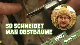 Der Schnitt von Apfel und Birne ganz einfach erklärt I James der Gärtner [upl. by Anna-Maria]