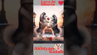 Akhiyan Gulab  Love In Siberia shorts viral [upl. by Gannon806]