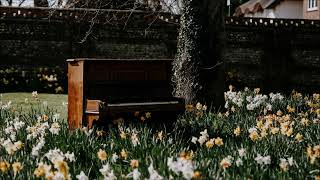 Spring Day Piano Ringtone mp3 Download  Instrumental Ringtones [upl. by Jerz]