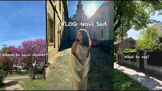 VLOG  Novi Sad Serbia  Exploring new city with friends [upl. by Pega]