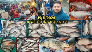 मछ्ली होल्सेलर मार्केट प्राइज 🐟 मंगलवार के दिन मछ्ली का होल्सेलर रेट 🐟fish holselar market price [upl. by Irual15]