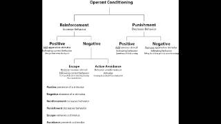 Operant Conditioning  PositiveNegative Reinforcement Punishment amp Extinction [upl. by Htnicayh]