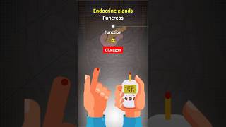 Glucagon amp Somatostatin hormones  shorts diabetes bloodsugar diseases sugar fatloss [upl. by Roye]