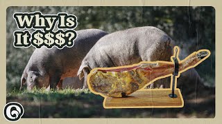 Why People Pay So Much for Iberian Ham [upl. by Attenauqa]