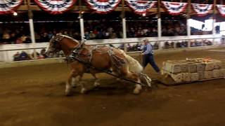 20091009 Fryeburg Fair  Horse Pulling [upl. by Euqinu]