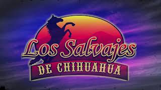 Los Salvajes de ChihuahuaFalso Amor Feat Chon Aranda del Conjunto Rio Grande Letra Oficial [upl. by Naig969]