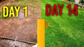 Watering new grass seed day 1 7 14  4 Week Time Lapse [upl. by Alby]