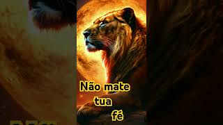 Cuidado não mate tua fé fé amor protecaoespiritual protecaodivina oração [upl. by Mogerly684]