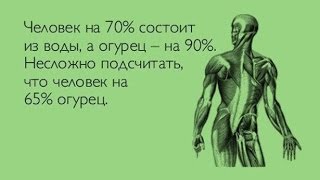 Малосольные огурцы старинный рецепт пародия от Глафиры Абрамовны [upl. by Curren442]