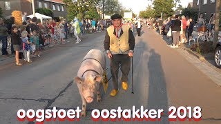 Oogststoet Oostakker 2018 [upl. by Shanks]