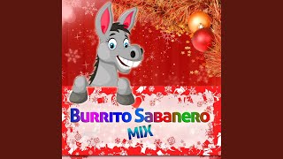 Arre Borriquito Baile Mix [upl. by Otreblanauj980]