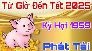 Từ Nay Đến Tết 2025  Kỷ Hợi Sinh Năm 1959 Tránh Hoạ Đắc Phúc Trúng Số Liên Tiếp Phát Tài Giàu Có [upl. by Aiynot]