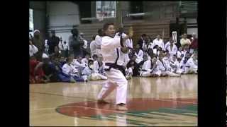 The Storm of Tang Soo Do [upl. by Dorca]