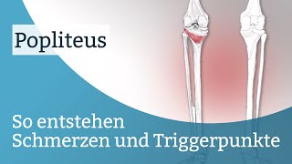 Popliteus Schmerzen Triggerpunkte und deren Aktivierung [upl. by Aititel]