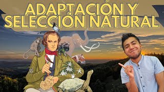 Relación entre adaptación y selección natural [upl. by Eseneg]