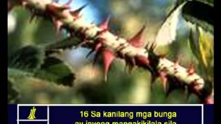 Matthew 7 Tagalog Filipino Picture Bible [upl. by Asquith]