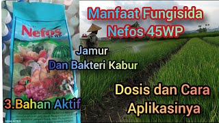 Manfaat Fungisida Nefos 45WP Dosis dan Cara Aplikasinya3 Bahan Aktif Ampuh Hajar Jamur dan Bakteri [upl. by Fauch]