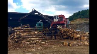 Independence Lumber Inc Saw Mill amp Farming Operations [upl. by Tsan958]