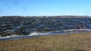 Wild Palic lake  Divlje jezero Palic [upl. by Graham]