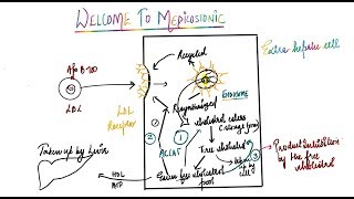 UPTAKE OF CHOLESTEROL BY CELL  LDL METABOLISM EXPLAINED [upl. by Danas]