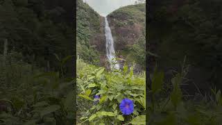 Gartmore Falls 🍀🦋🐾 beautiful naturelovers new srilanka gartmore waterfall fyp [upl. by Noteek]