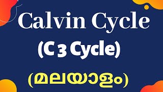 CALVIN CYCLEC3 Cycle Malayalam Photosynthesis in higher plants class 11NeetAiims2020 [upl. by Idnahr]