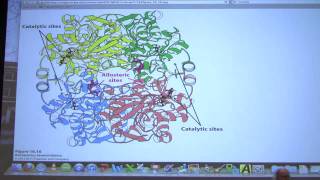 23 Biochemistry Glycolysis III Lecture for Kevin Aherns BB 450550 [upl. by Mcdermott]