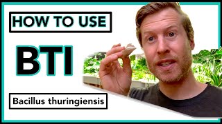 How to Use BTI Bacillus thuringiensis israelensis ORGANIC FUNGUS GNAT CONTROL [upl. by Annoet]