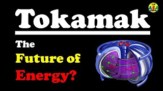 What is a Tokamak Working and Future [upl. by Hayn]