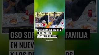 Oso sorprende 🐻🌮 a familia en Nuevo León y los deja sin tacos [upl. by Davidde]