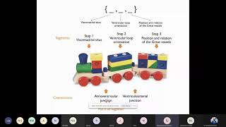 Sequential Segmental Analysis in Congenital Heart Disease Echocardiography by Dr Shreedhar Joshi [upl. by Orianna]