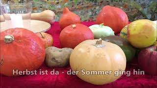 Herbst ist da  Autumn Comes  in DMoll mit Text [upl. by Akima884]