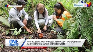 One Mindanao Bulak nga ‘Rafflesia Verrucosa’ nadiskubrehan sa Mt Matutum [upl. by Tiraj409]