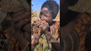 Hadzabe breakfast eating Roots Food [upl. by Akimak]