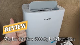 Waykar 120 Pints 6000 Sq Ft Dehumidifier Review  Is It Worth It [upl. by Arondel]