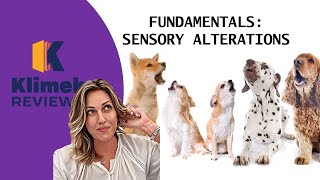 FUNDAMENTALS SENSORY ALTERATIONS [upl. by Anglim60]