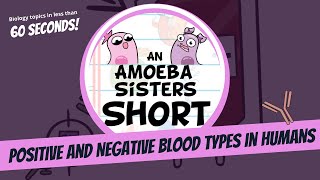 Positive and Negative Blood Types  Amoeba Sisters Shorts [upl. by Aropizt]