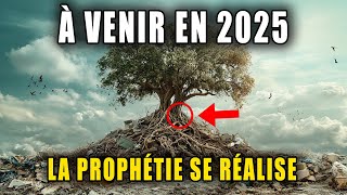 Le signe final arrive  les prophéties Hopi sur notre destin  Prophétie 2025 [upl. by Gery220]