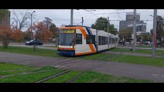 Straßenbahn Mannheim an der Kreuzung Abendakademie 2024 [upl. by Joslyn854]